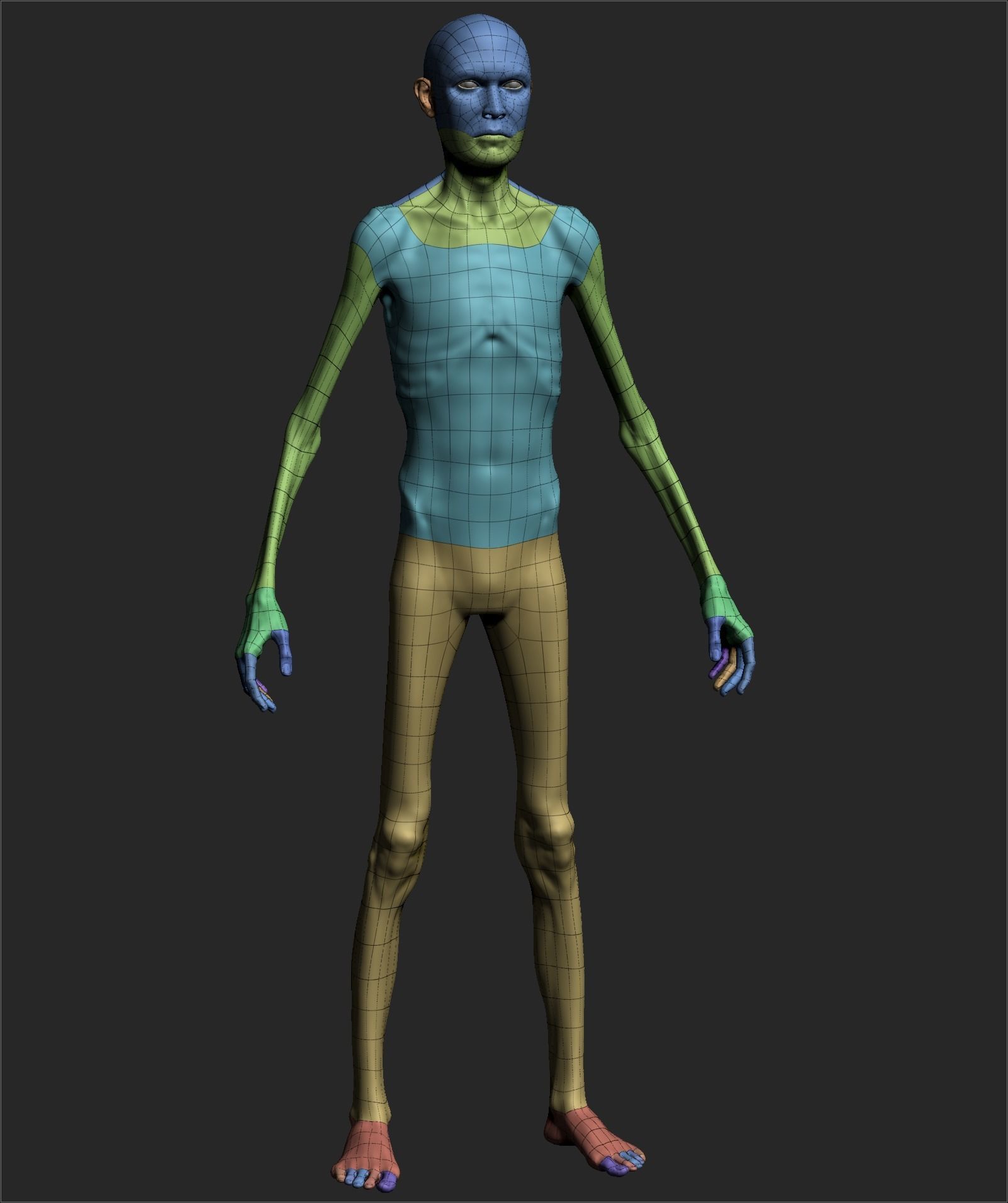 Male Basemesh ZBRUSH 00 3D model_6