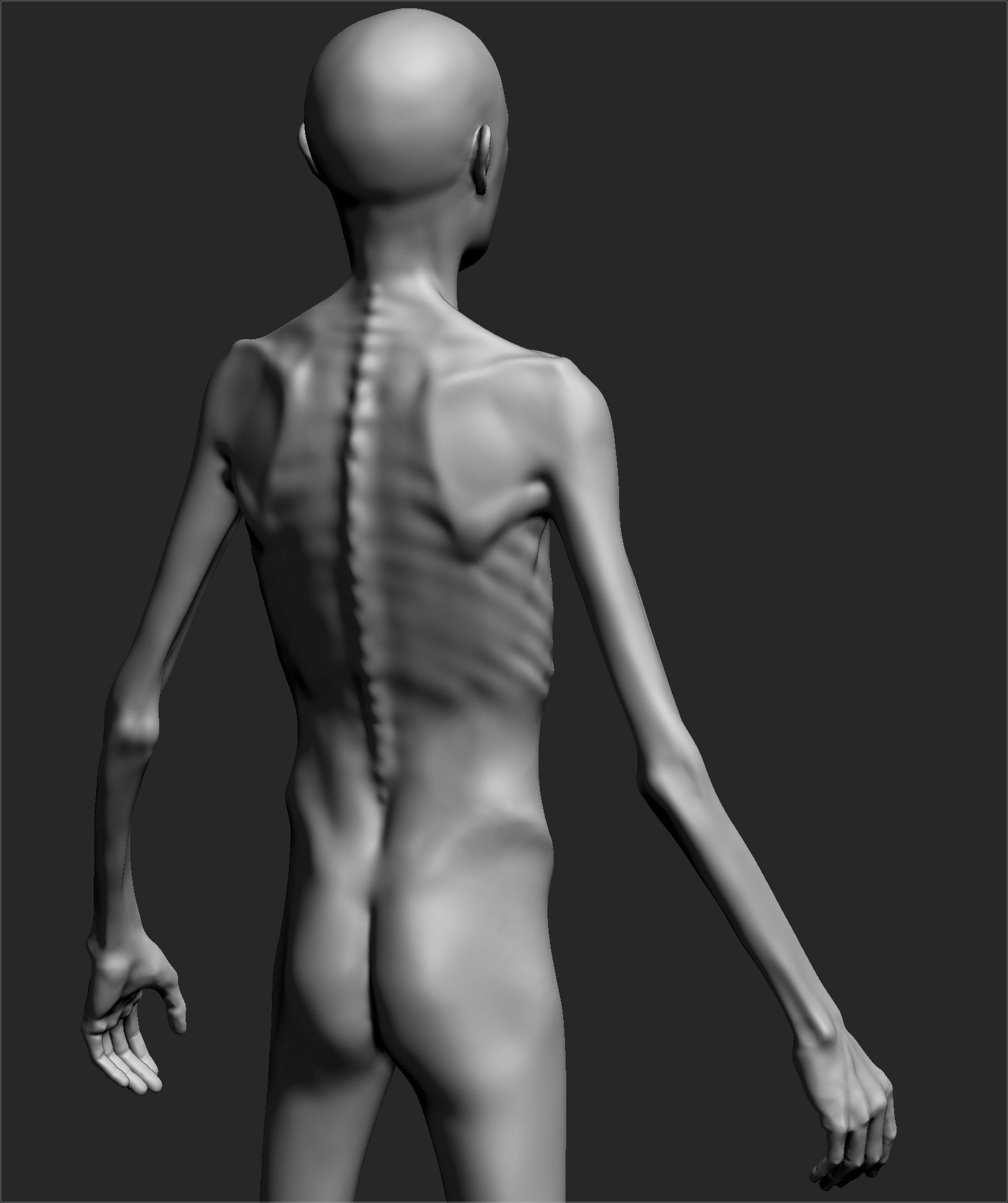 Male Basemesh ZBRUSH 00 3D model_2