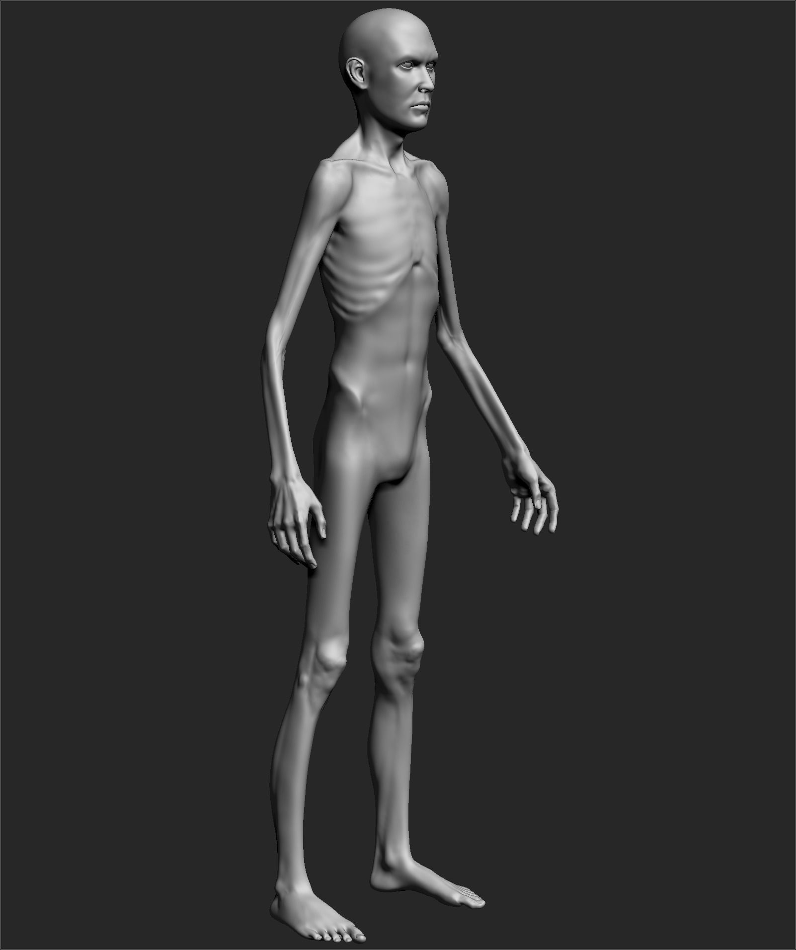 Male Basemesh ZBRUSH 00 3D model_5