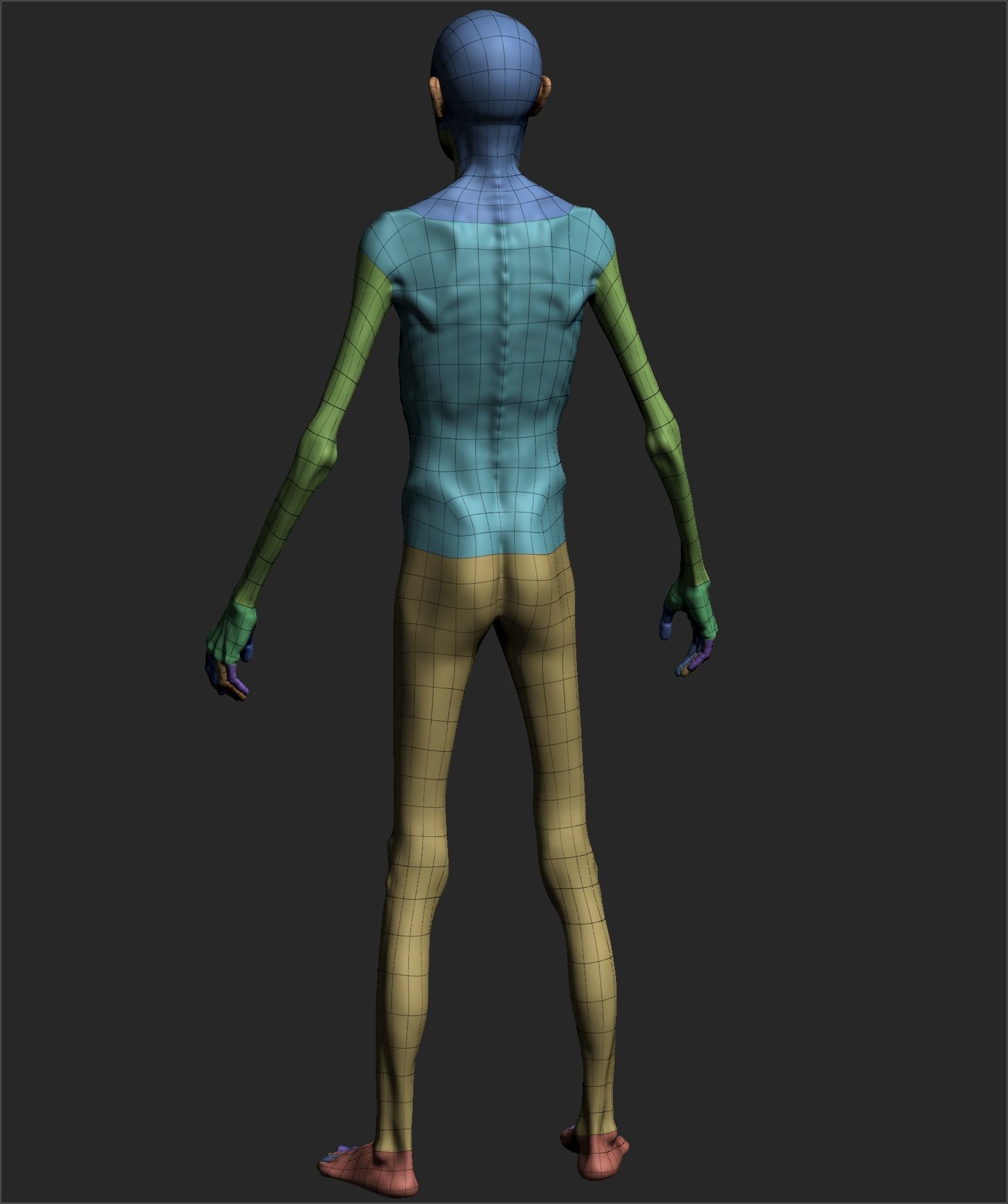 Male Basemesh ZBRUSH 00 3D model_7