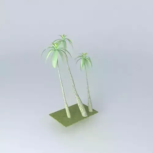 Palm Trees