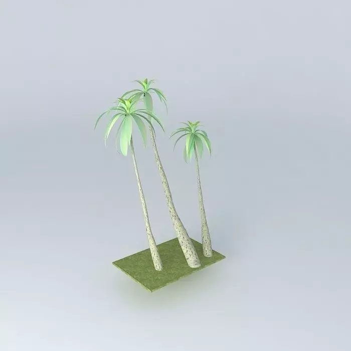 Palm Trees Free 3D model