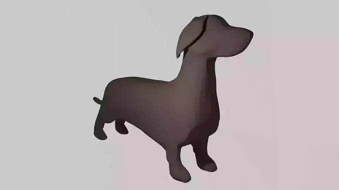 Dachshund dog