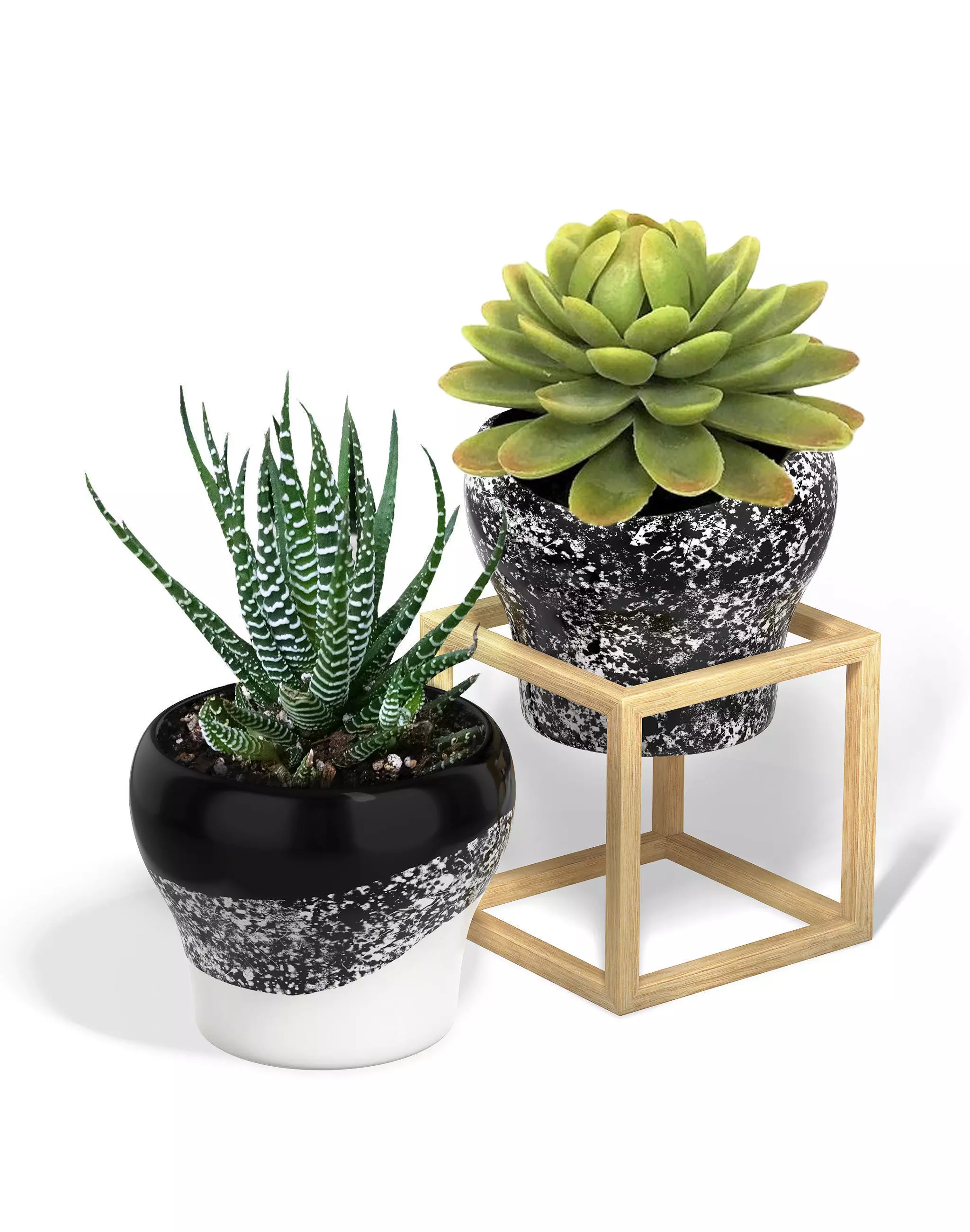 Flower Pot with a Wood Cube Frame 3D model_0