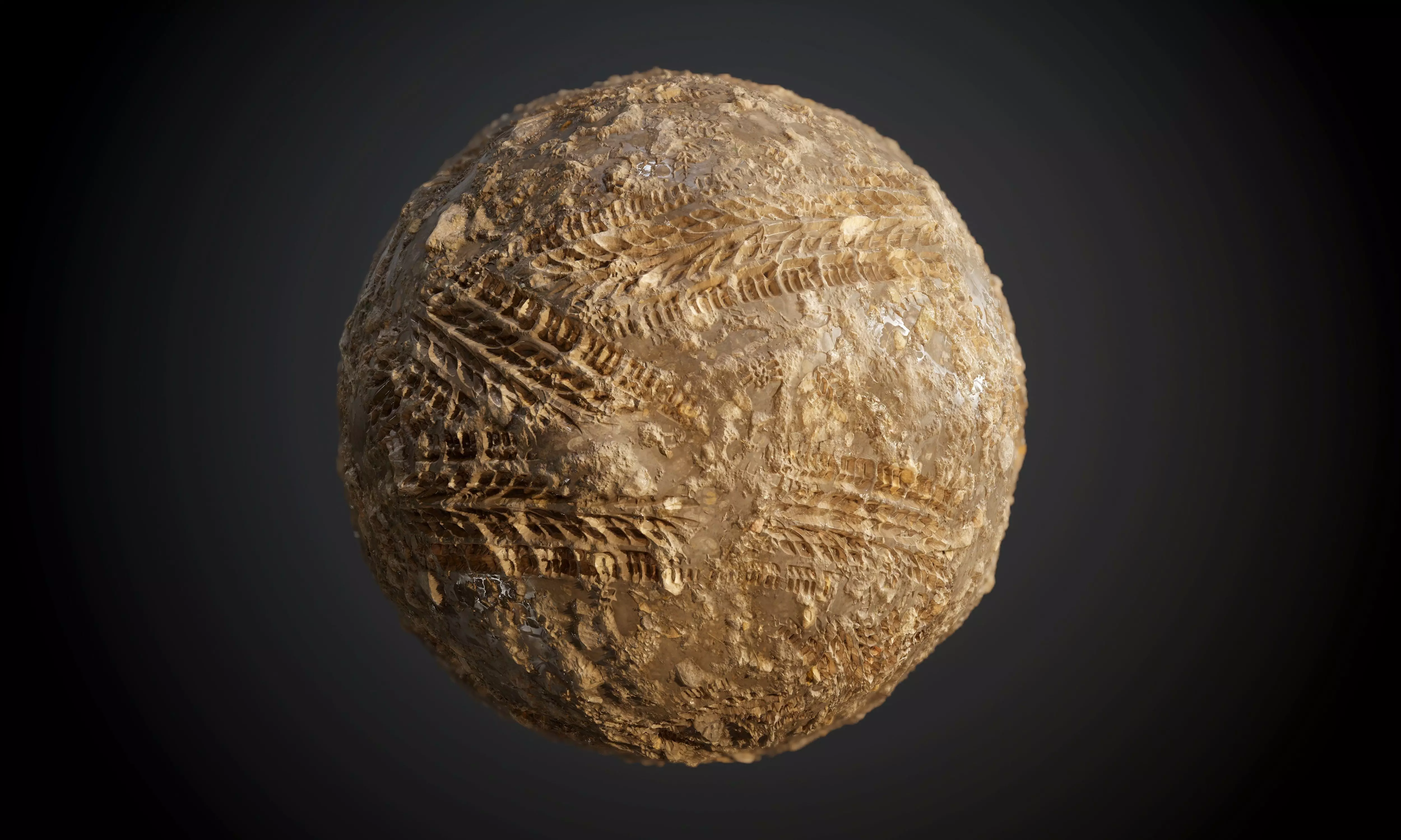 Mud Sand Stones Wet Dirt Tire Track Seamless PBR Texture Texture