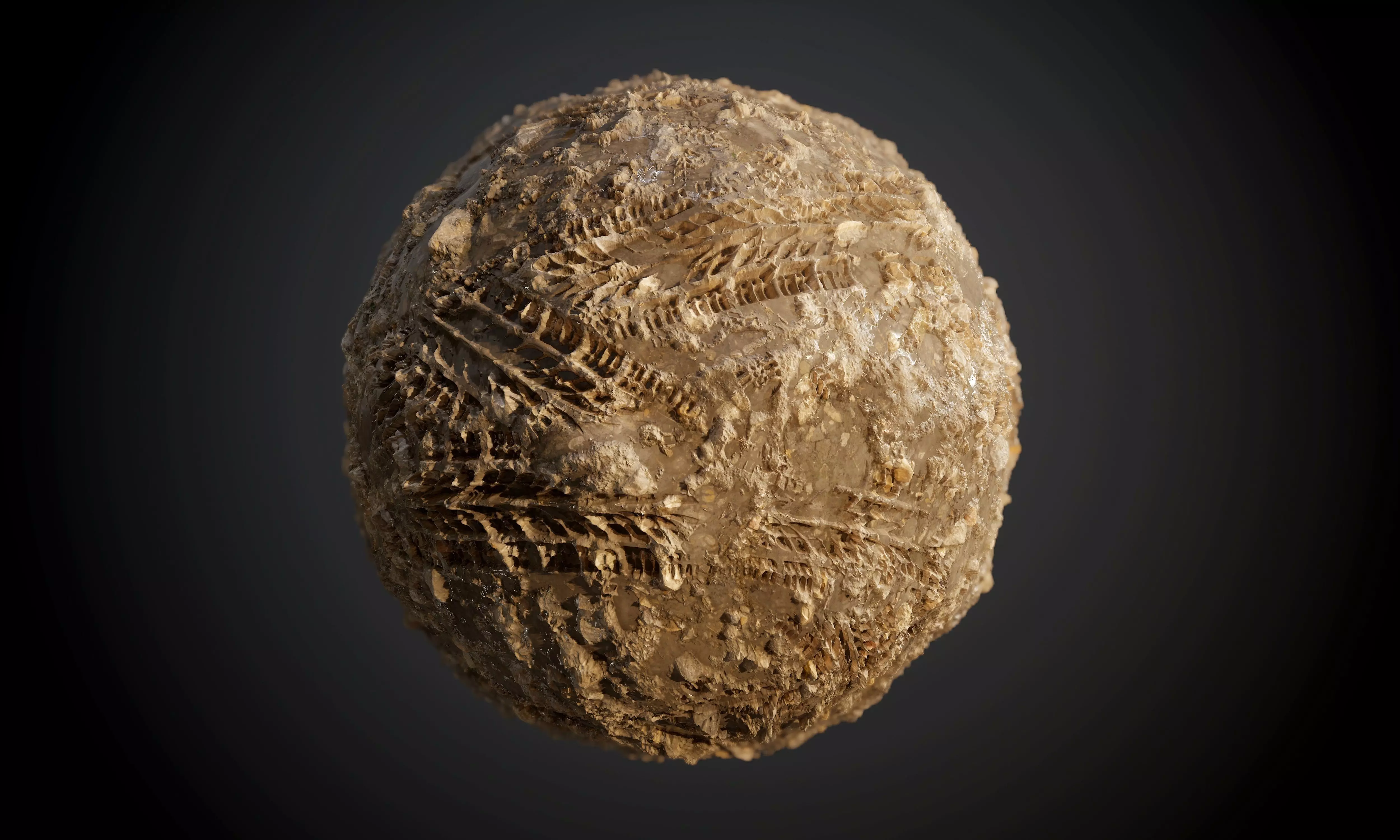 Mud Sand Stones Wet Dirt Tire Track Seamless PBR Texture Texture_0