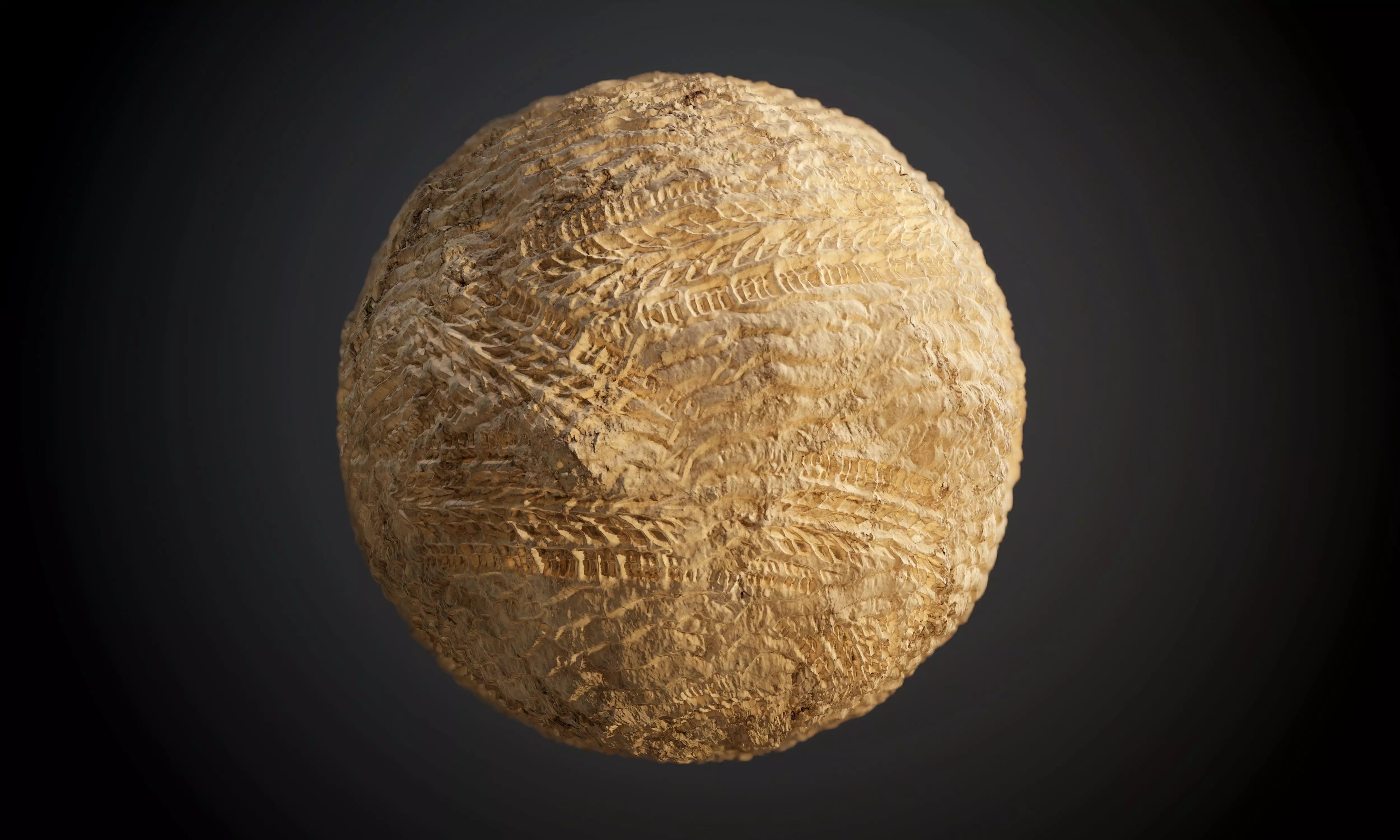 Mud Sand Stones Wet Dirt Tire Track Seamless PBR Texture Texture