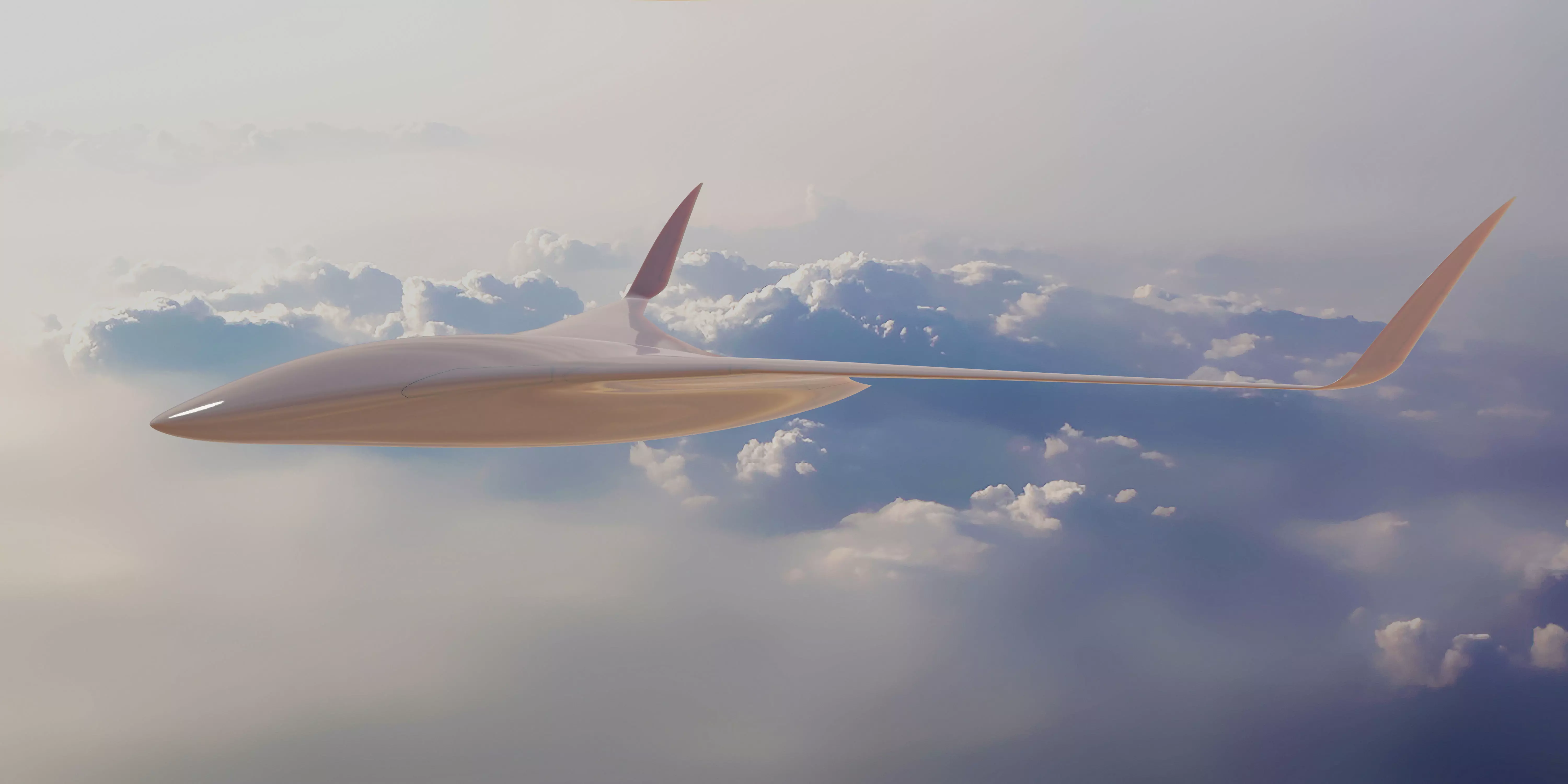 BWB Gleich Drone  3D model_0