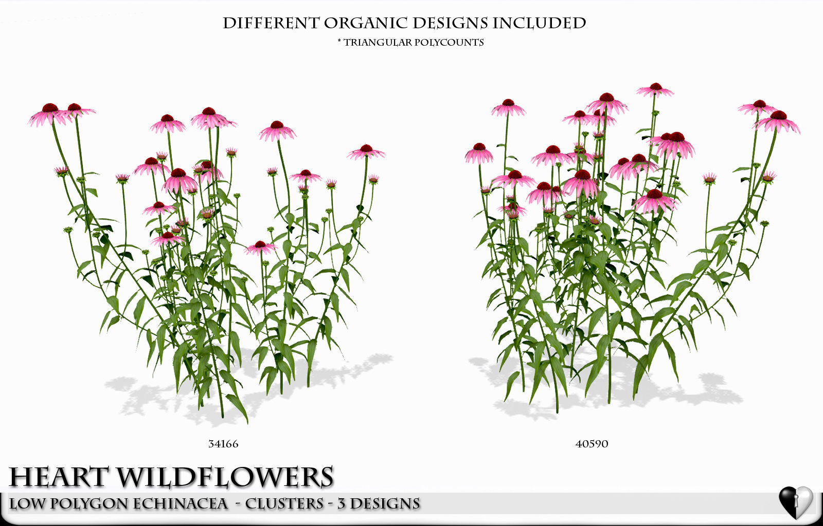Low Polygon Wild Flowers -  Echinacea Low-poly 3D model_3