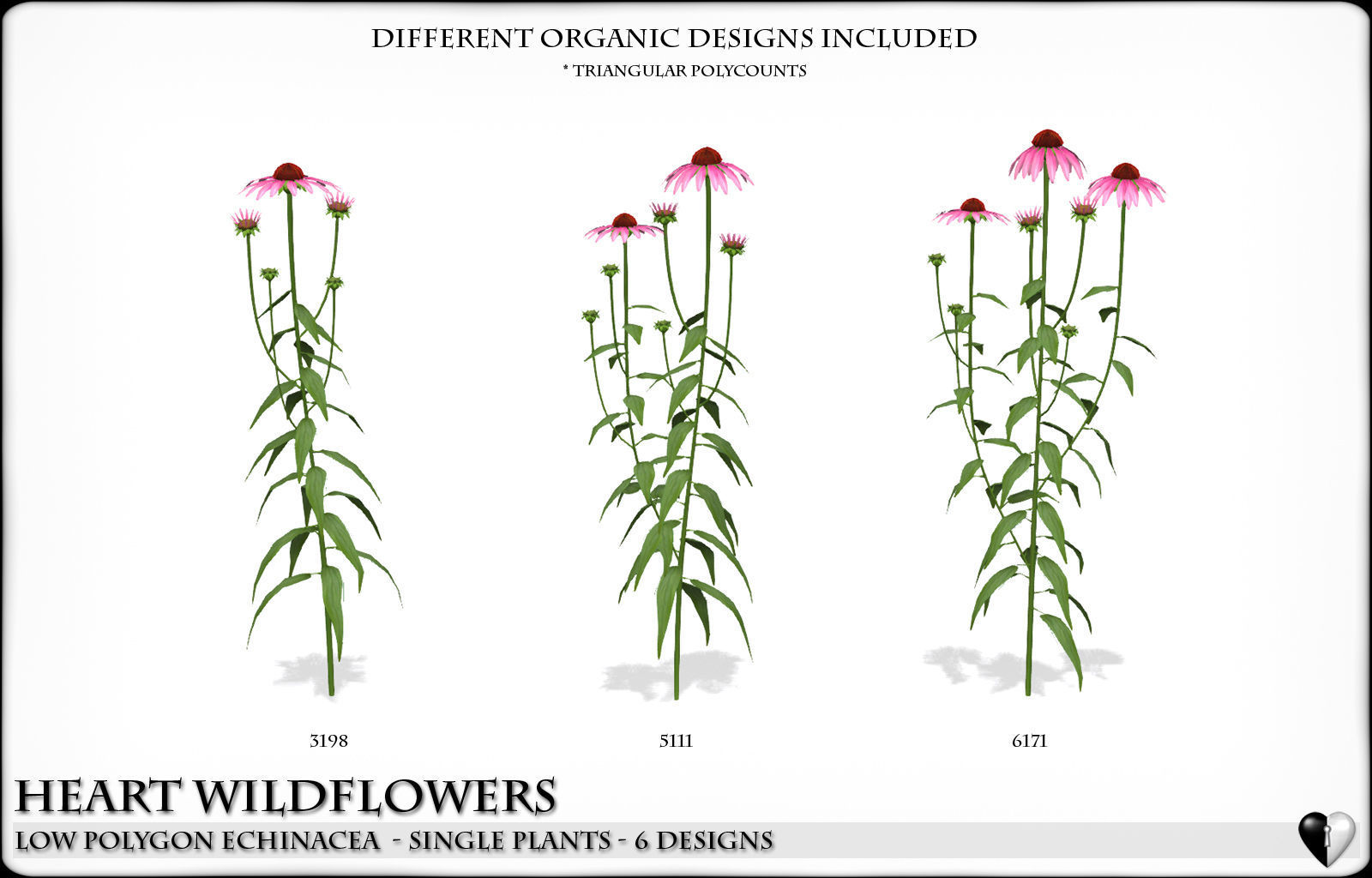 Low Polygon Wild Flowers -  Echinacea Low-poly 3D model_1