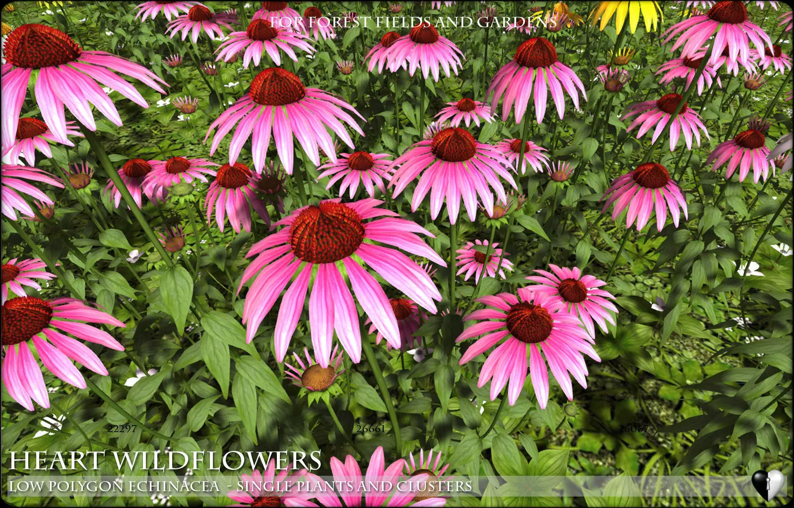 Low Polygon Wild Flowers -  Echinacea Low-poly 3D model_0