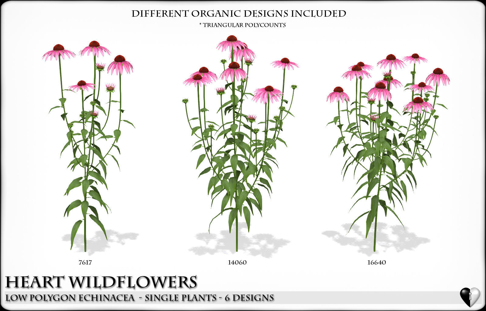 Low Polygon Wild Flowers -  Echinacea Low-poly 3D model_2