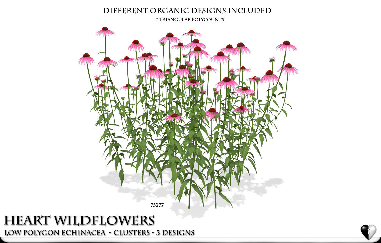 Low Polygon Wild Flowers -  Echinacea Low-poly 3D model_4