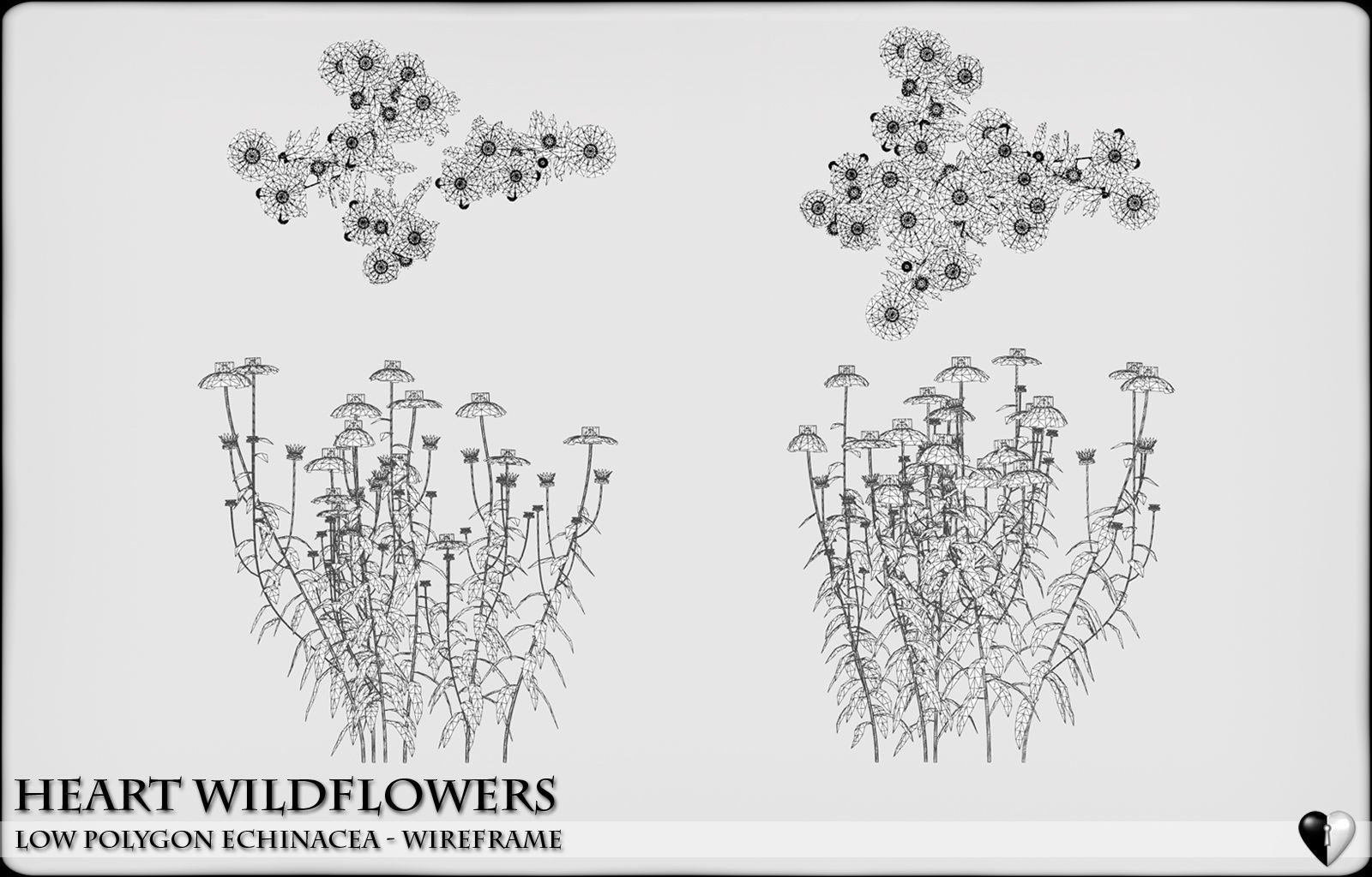 Low Polygon Wild Flowers -  Echinacea Low-poly 3D model_7