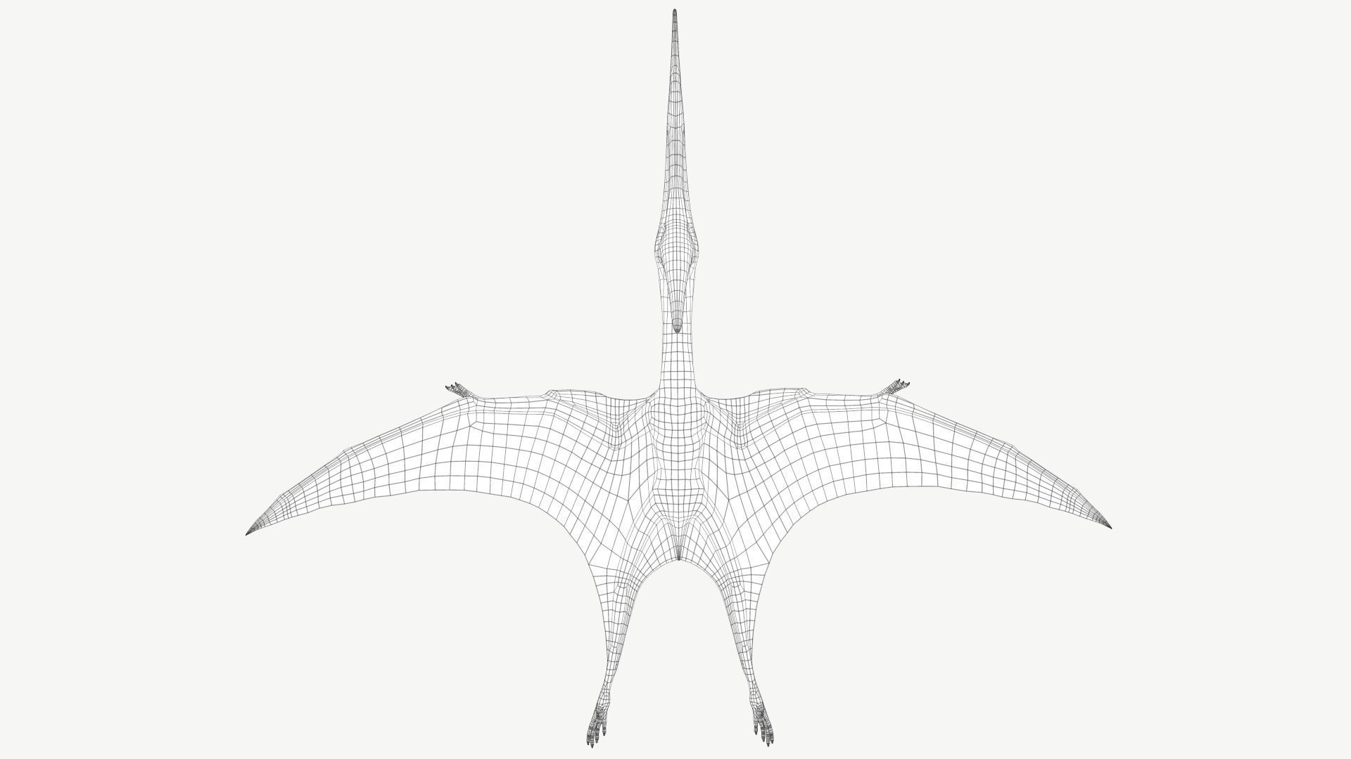 Pteranodon dinosaur Low-poly 3D model_8