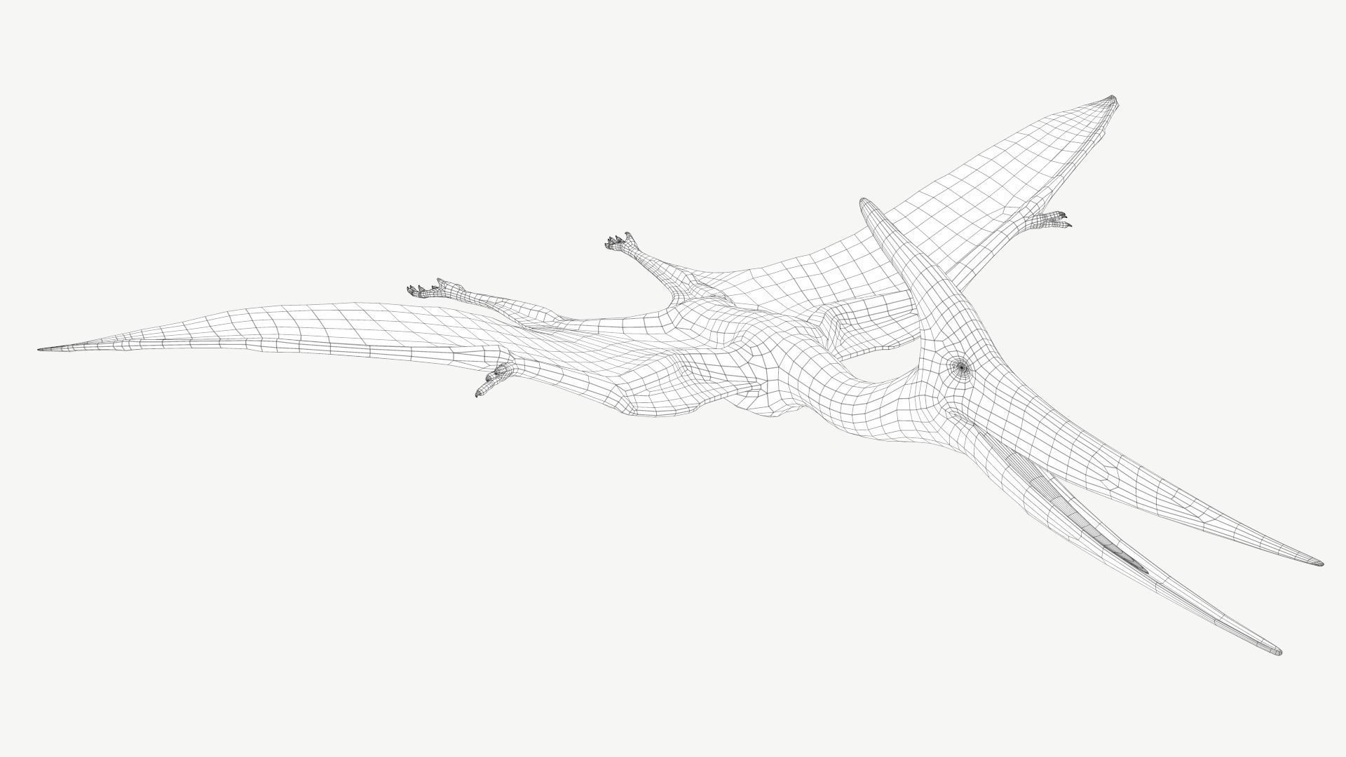 Pteranodon dinosaur Low-poly 3D model_2
