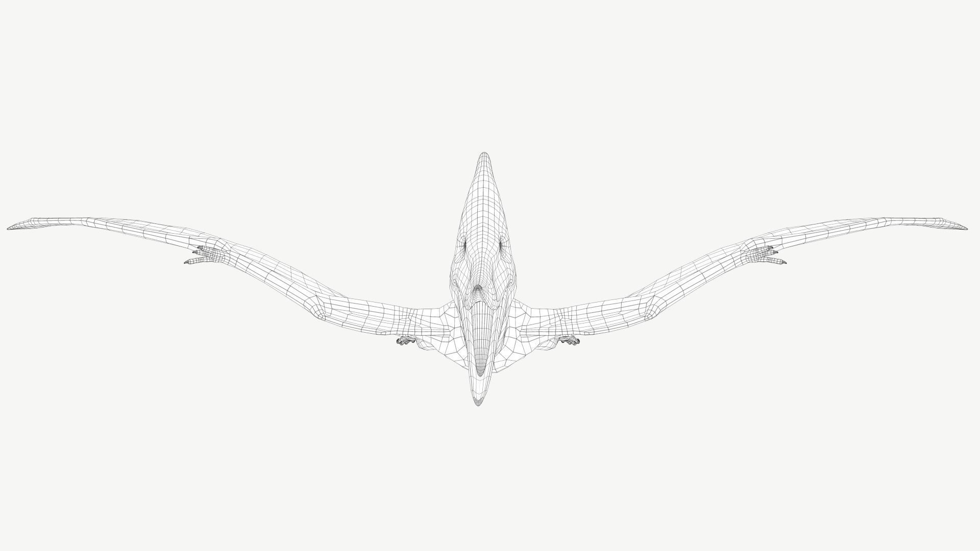 Pteranodon dinosaur Low-poly 3D model_10