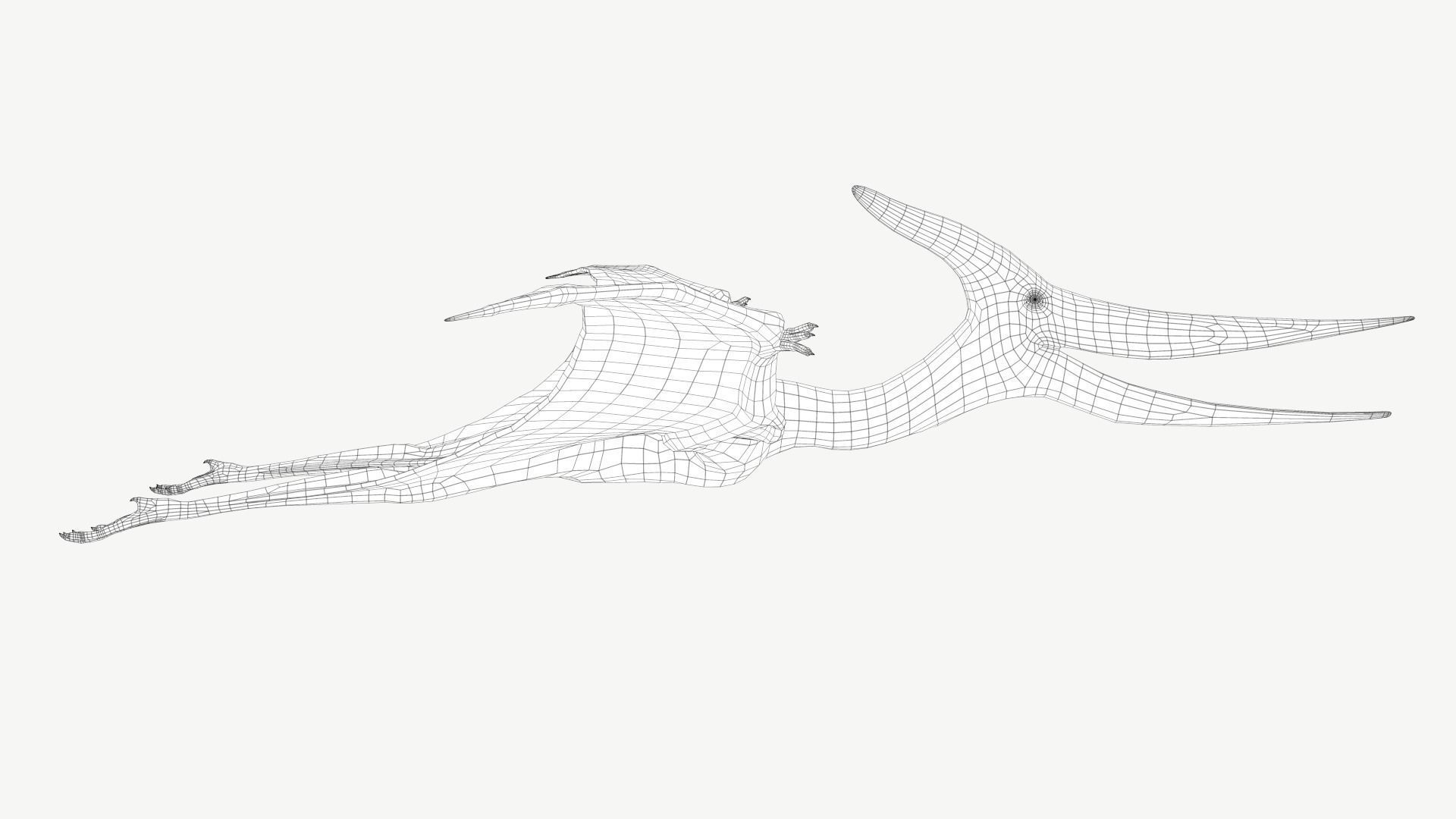 Pteranodon dinosaur Low-poly 3D model_4