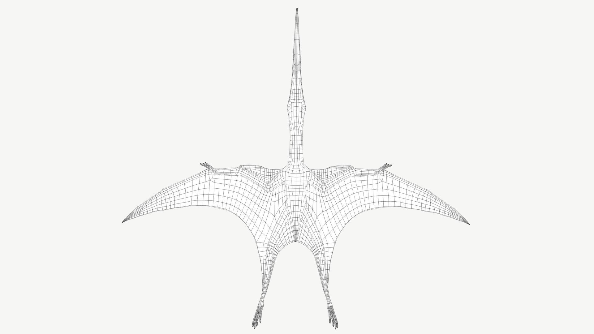 Pteranodon dinosaur Low-poly 3D model_12