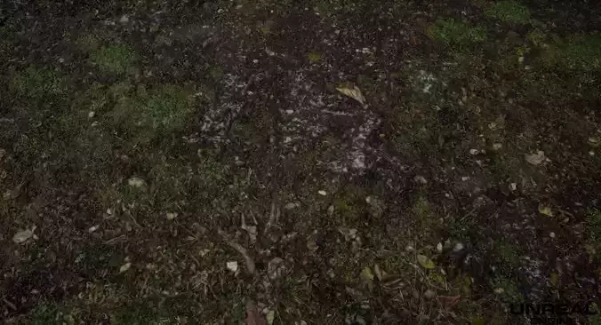 PBR Scanned Grassy Soil with Snow