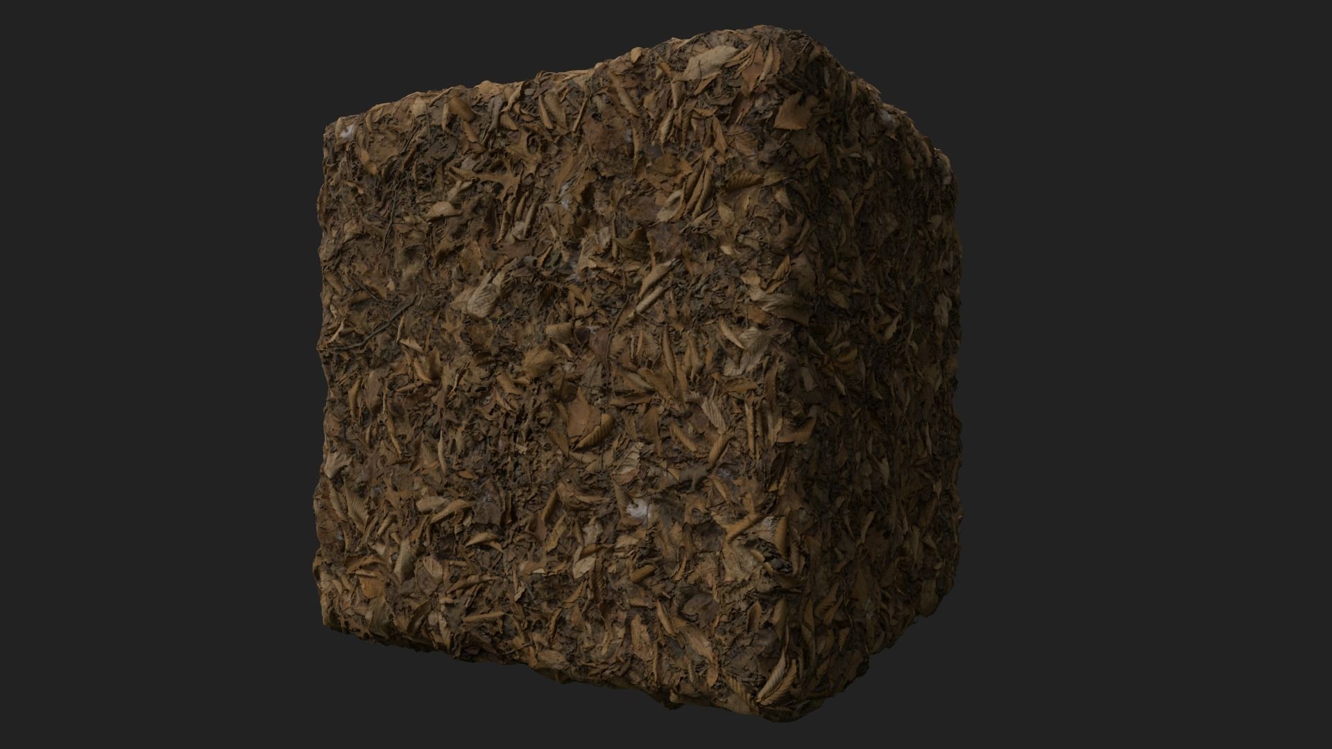 PBR Scanned Leafy Ground with Traces of Snow 3D model_3