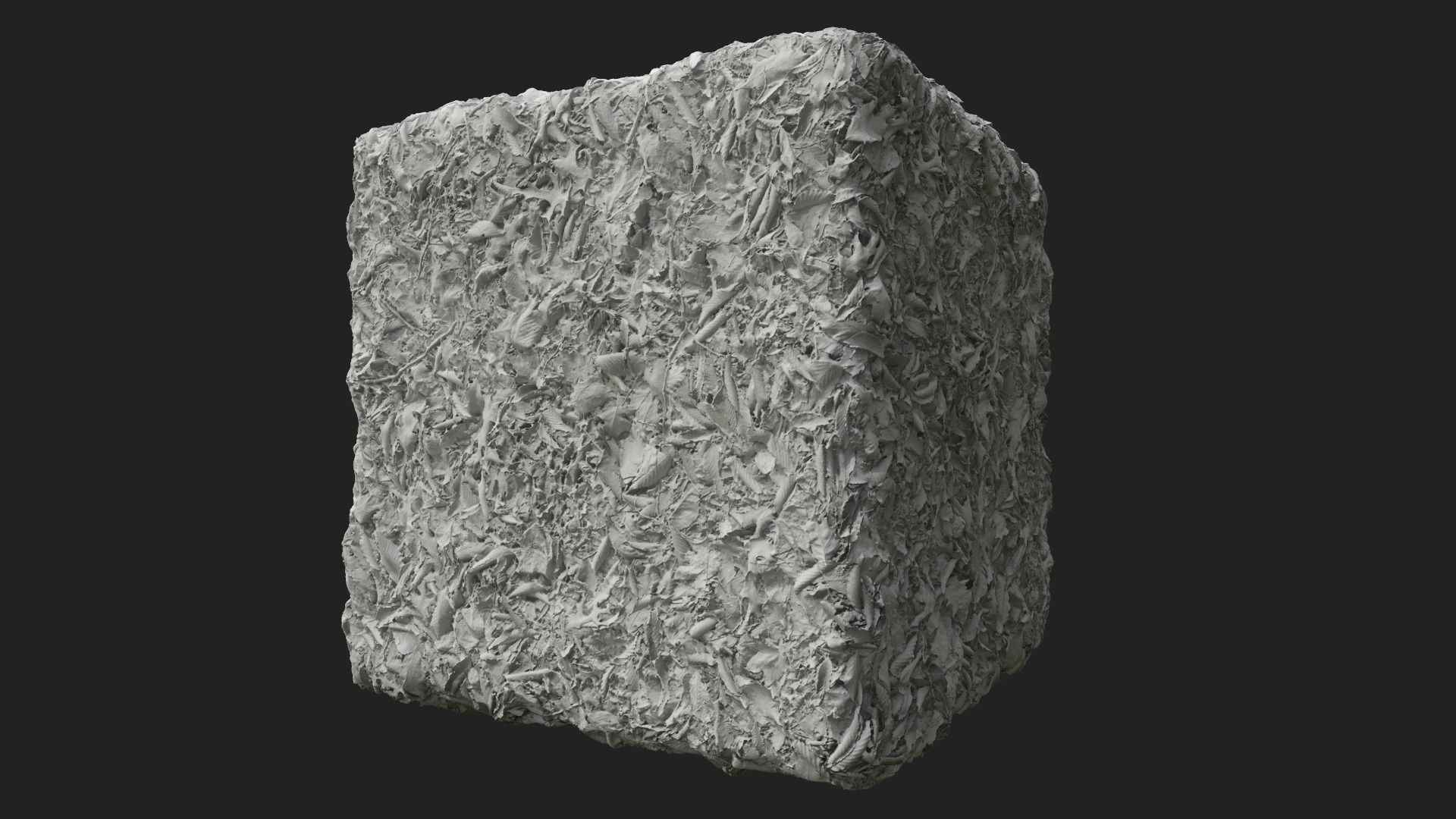 PBR Scanned Leafy Ground with Traces of Snow 3D model_4