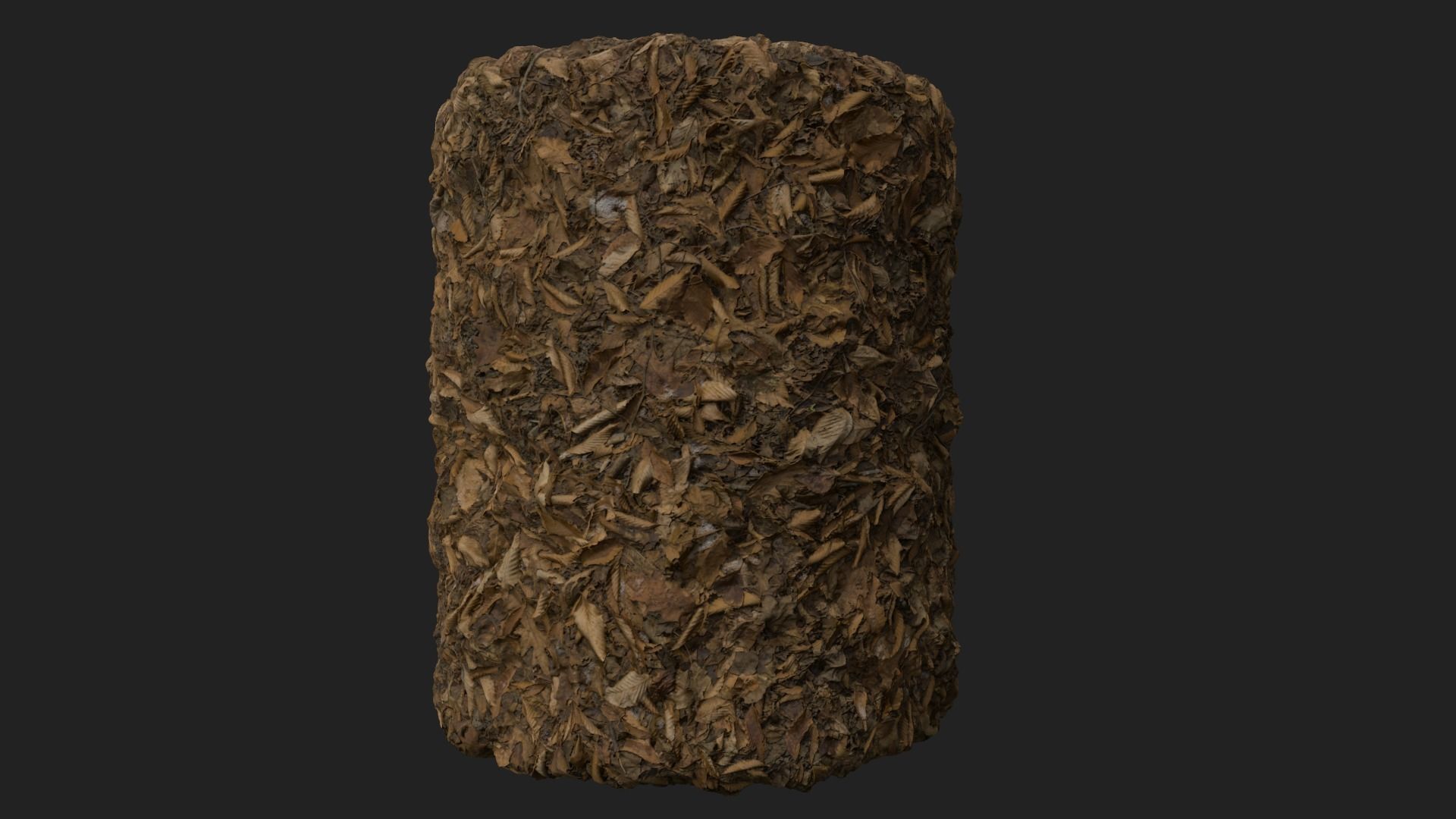 PBR Scanned Leafy Ground with Traces of Snow 3D model_1