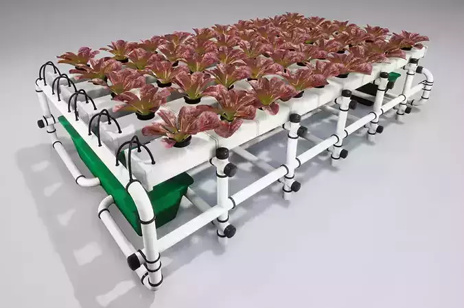 Hydroponics system LG