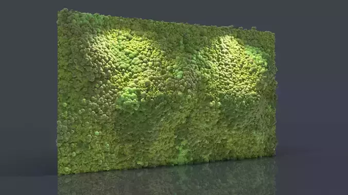 Moss Wall