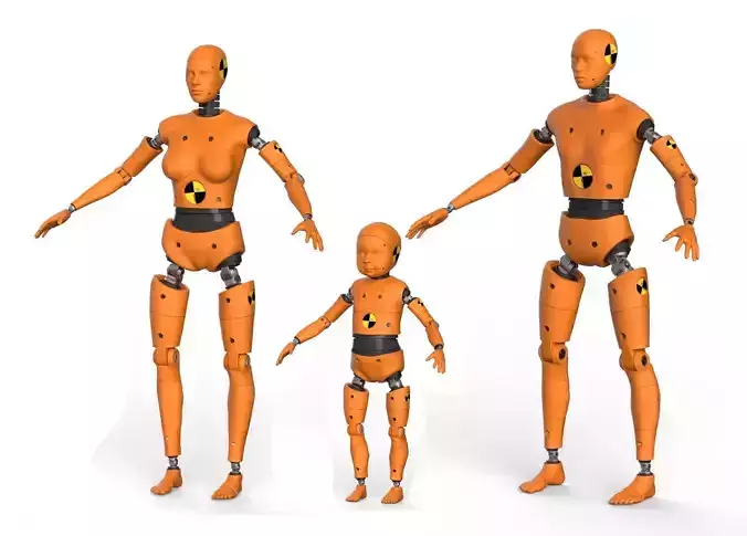  Robot Android  family   Crash Dummy Test 3D model 3D Model Collection