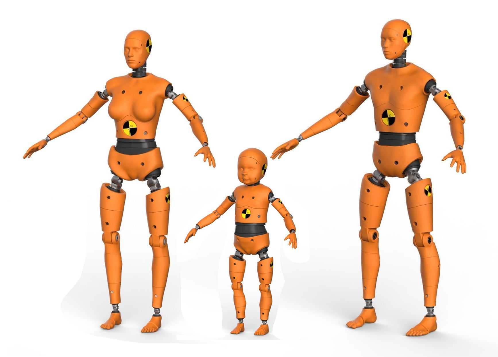 Robot Android family Crash Dummy Test 3D model 3D Model Collection_5