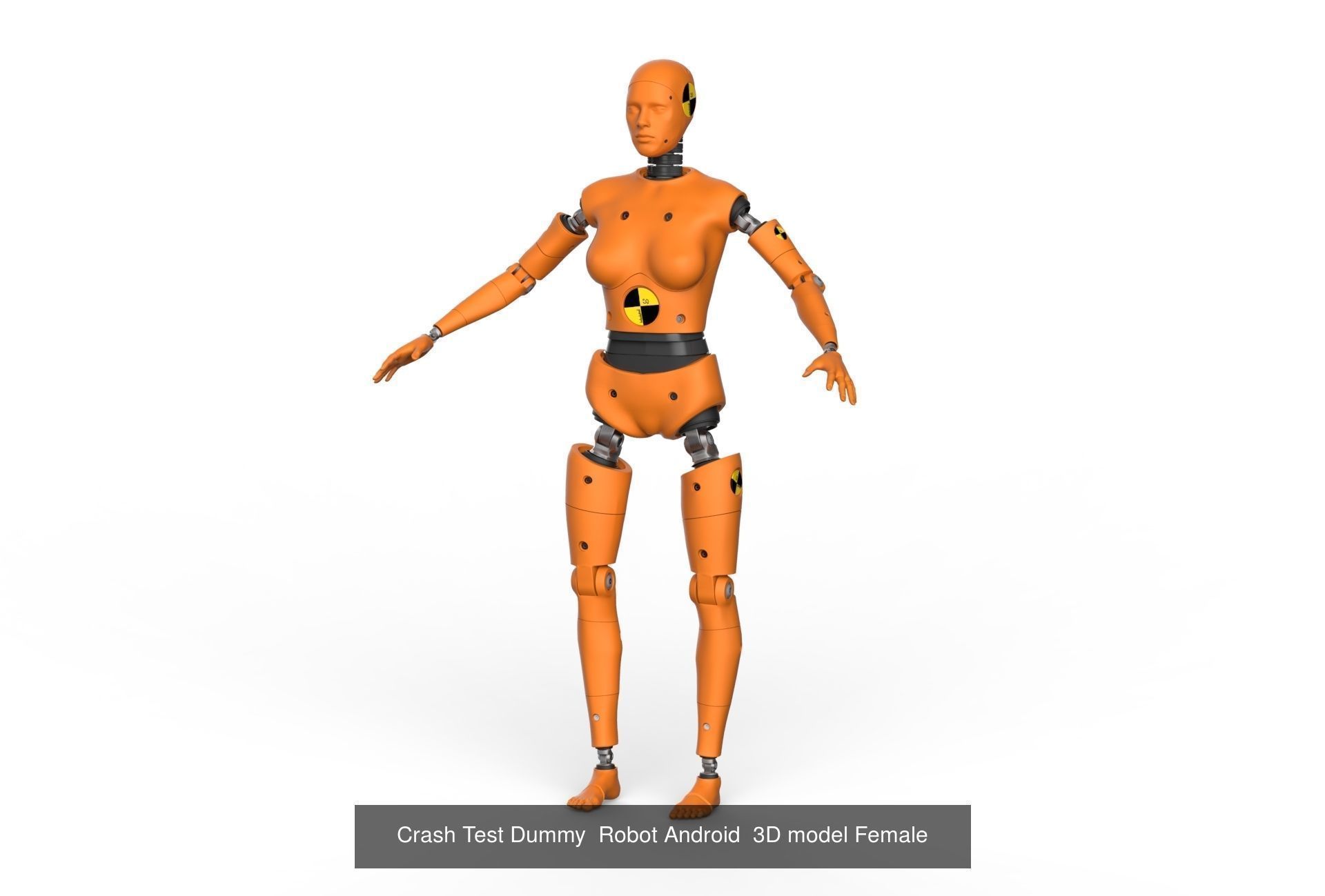 Robot Android family Crash Dummy Test 3D model 3D Model Collection_3