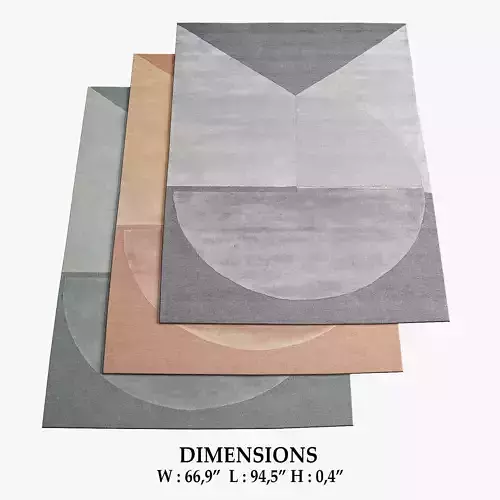 Satomi Rugs 237 3D model