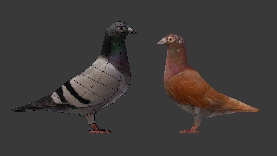 Two Pigeons Low-poly 3D model_9