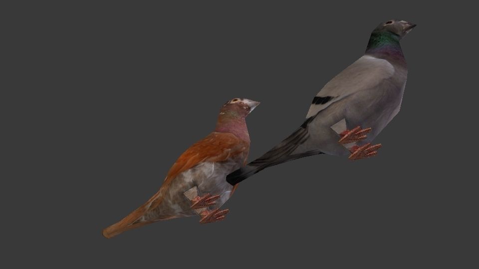 Two Pigeons Low-poly 3D model_6