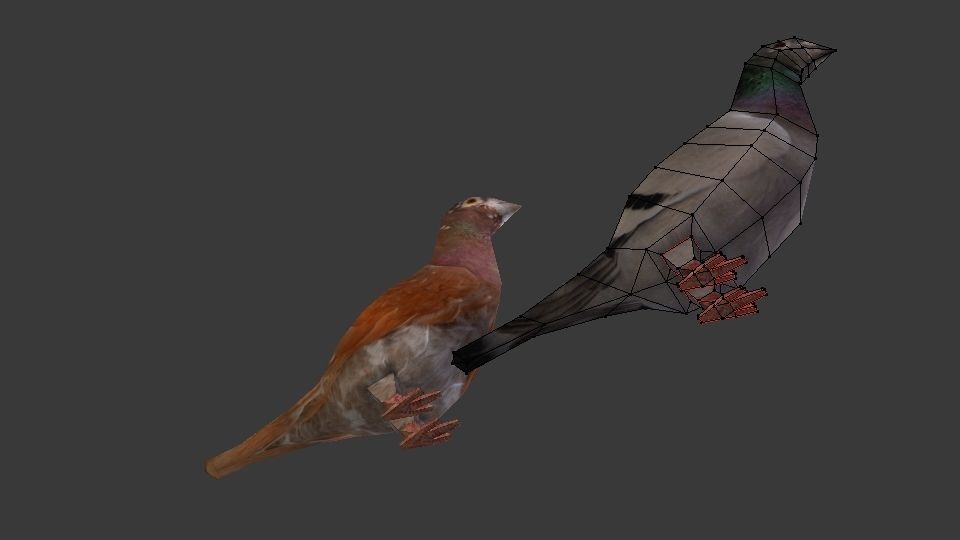 Two Pigeons Low-poly 3D model_7