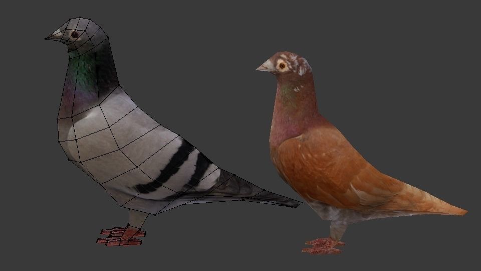 Two Pigeons Low-poly 3D model_19