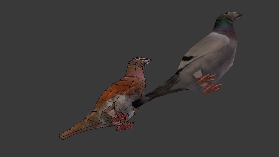 Two Pigeons Low-poly 3D model_8
