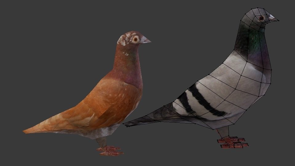 Two Pigeons Low-poly 3D model_22