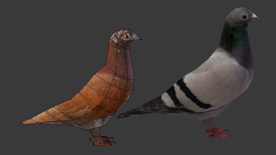 Two Pigeons Low-poly 3D model_5