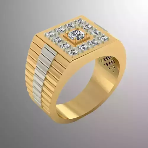 Ring bi 10 3D print model