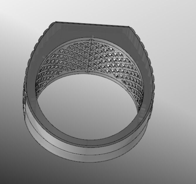Ring bi 10 3D print model_19