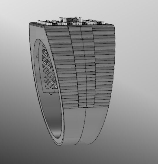 Ring bi 10 3D print model_15