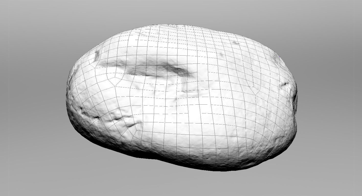 Eroded Limestone Pebble 3D model_22