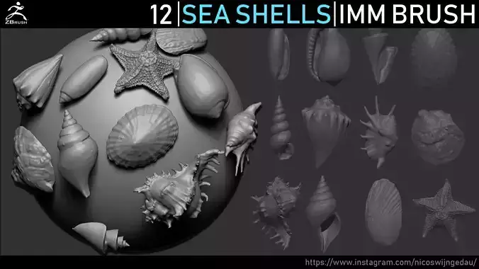 Zbrush - Seashells IMM Brush