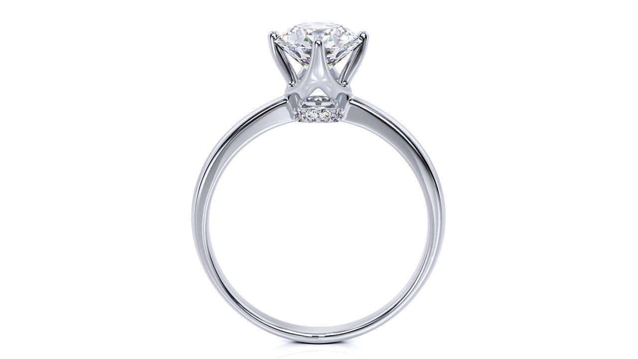 Ring R 0077 3D print model_2