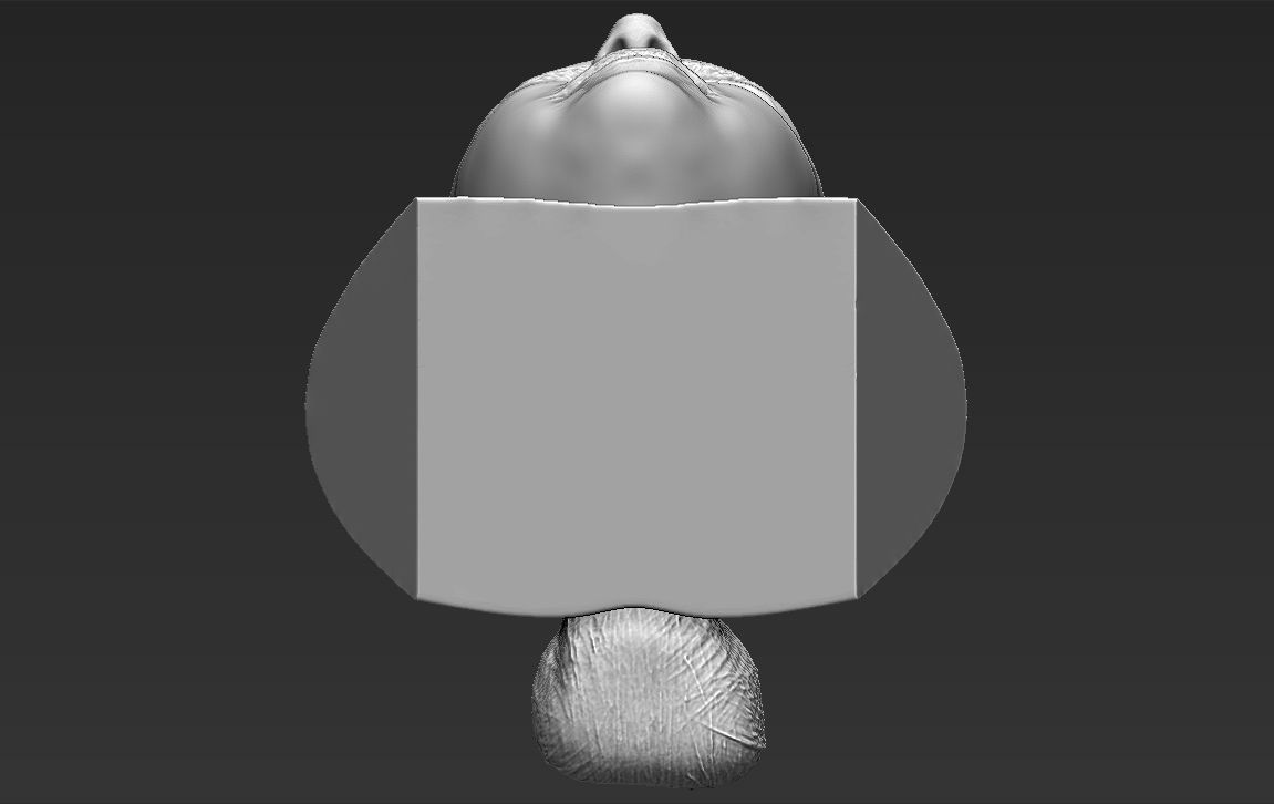 Selena Gomez bust 3D printing ready stl obj formats 3D print model_17