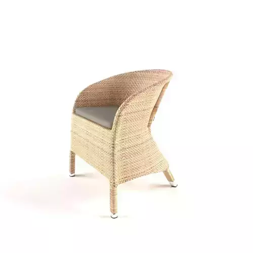 Rattan-like garden chair