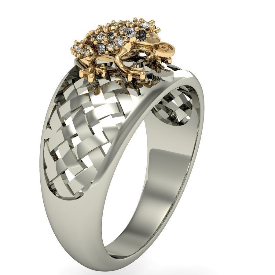 ring frog with a coin    3D print model_2