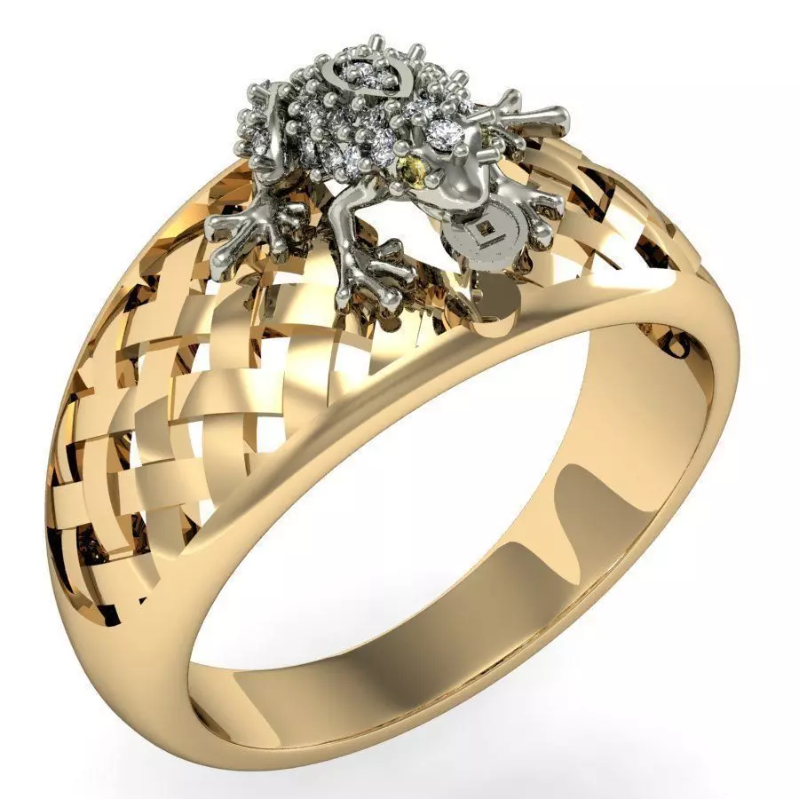 ring frog with a coin    3D print model_0